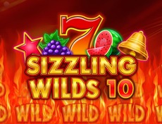 Sizzling Wilds 10